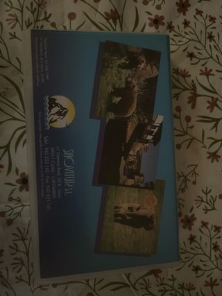 VHS Visita Cantabria: Santander