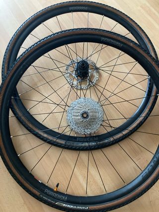 Bontrager paradigm
