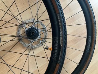 Bontrager paradigm