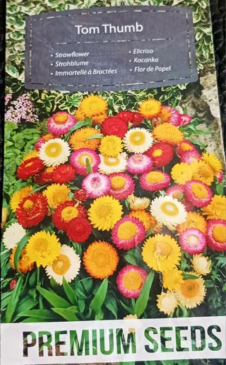 30 Semillas Flor de Papel Tom Thumb Variada
