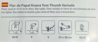 30 Semillas Flor de Papel Tom Thumb Variada