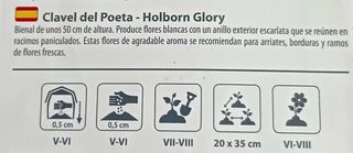 20 Semillas Clavel Poeta Holborn Glory