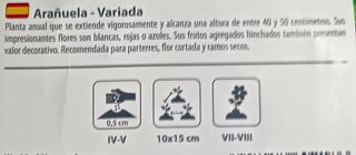 30 Semillas Arañuela Variada 