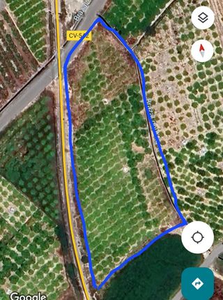 15, 67 Hanegadas en Vilanova de Castelló