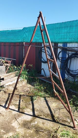 Escalera de hierro. Frutales y construcción