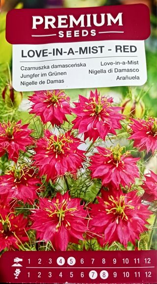 30 Semillas Arañuela Roja