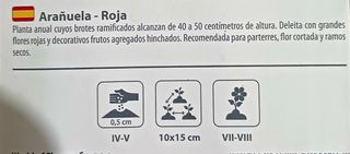 30 Semillas Arañuela Roja