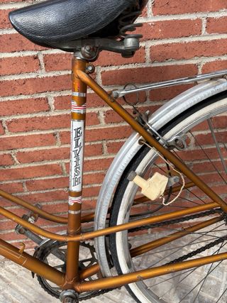 Bicicleta Elvish antigua