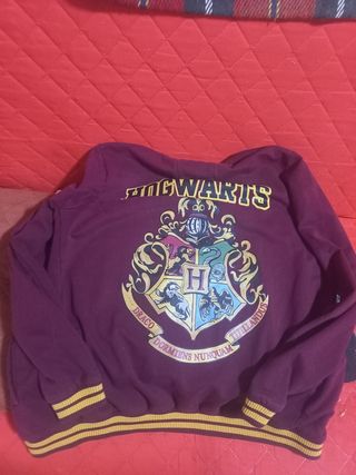 Felpa Harry Potter Grifondoro