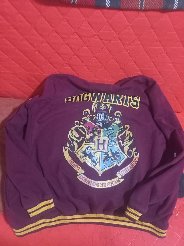 Felpa Harry Potter Grifondoro