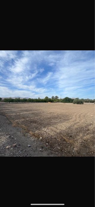 Trabajos con tractor