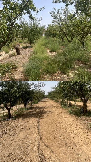 Trabajos con tractor