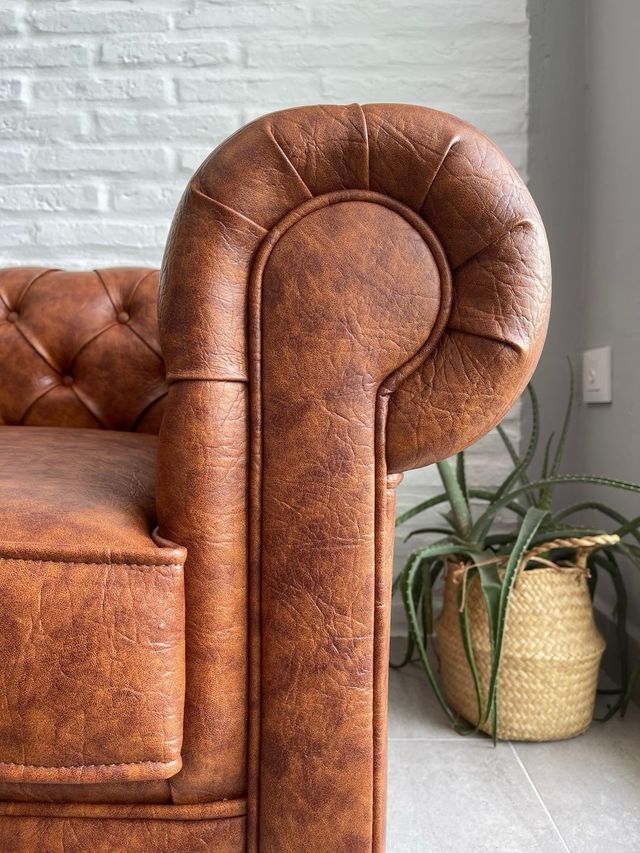 Mini Chester Mascotas