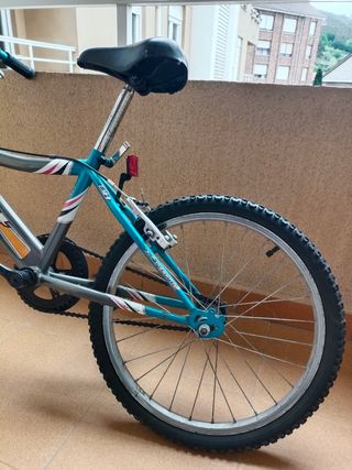 Bicicleta niño