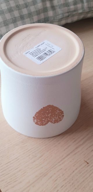 Bonita Maceta Decoración ❤