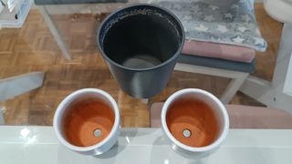 Kit jardinería cactus suculentas