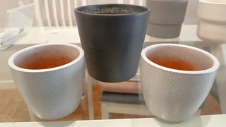 Kit jardinería cactus suculentas