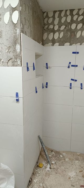 Paletas economicos .