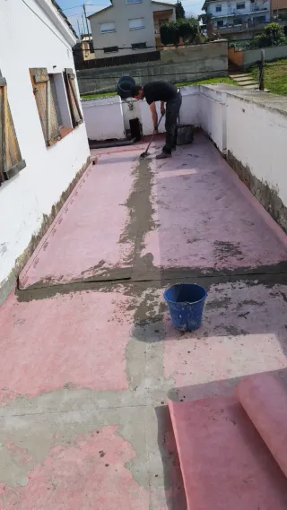 Paletas economicos .