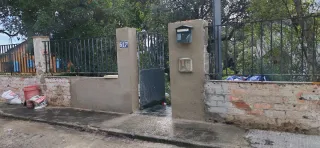 Paletas economicos .
