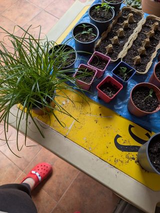 5 Sillas Jardín Plástico Verde