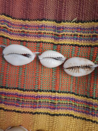 Borsetta estiva conchiglie multicolor