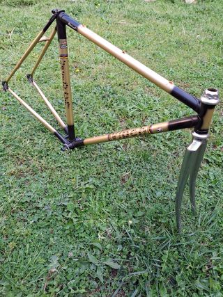 VIPCH bicicleta carretera 
