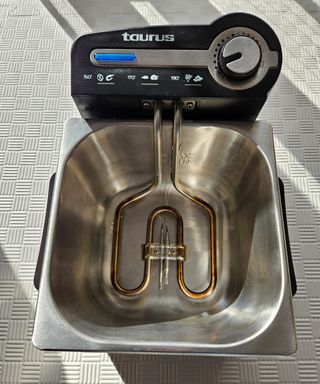 Taurus freidora profesional 2