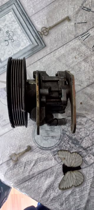 Bomba dirección asistida Mercedes Vito