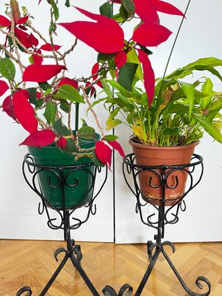 Maceteros/Pedestales Forja Artesanal