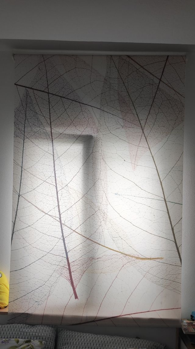 Estor con las hojas de colores