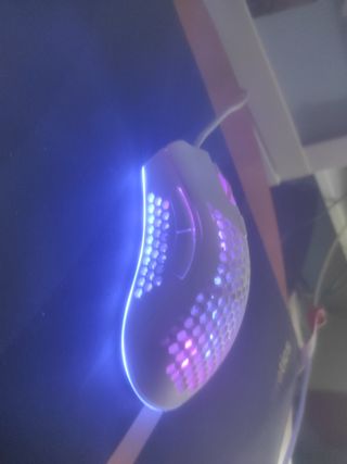 Mouse