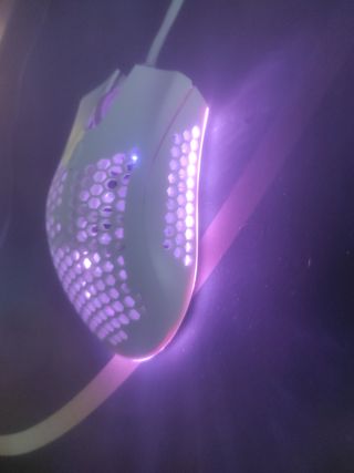 Mouse