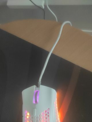 Mouse