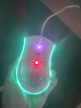 Mouse