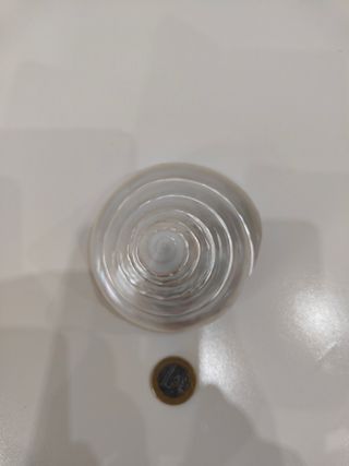 Conchiglia madreperla 