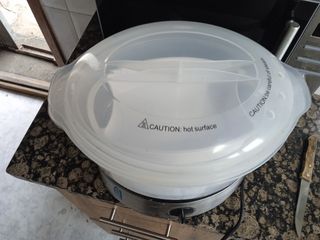 Vaporera electrica, ahumador