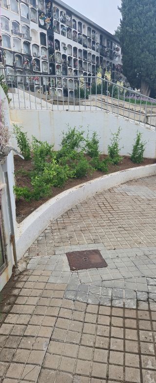 Jardinero