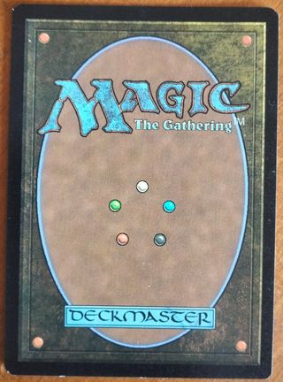 Investigatrice Wojek - Foil