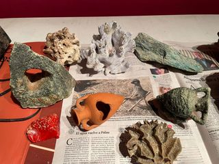 Pecera 250L - Acuario grande