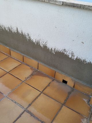 reformas 