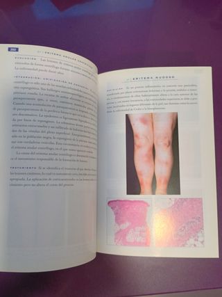 Dermatologia (Spanish Edition)