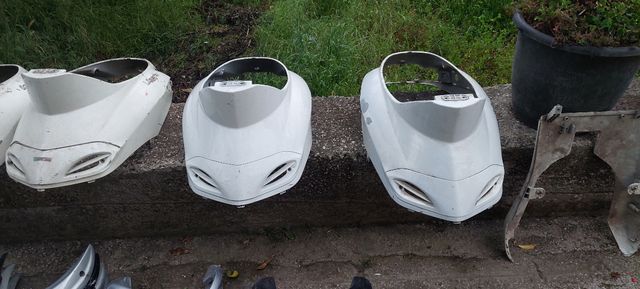 Scudi posteriore liberty