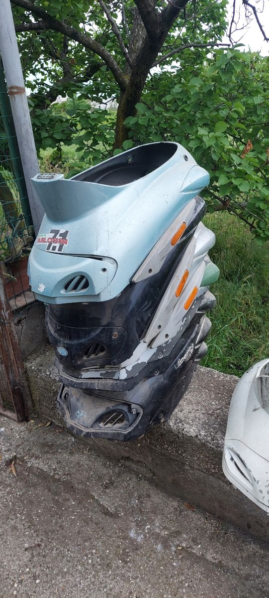 Scudi posteriore liberty