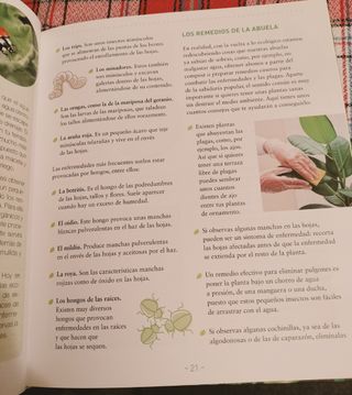 50 Plantas perfectas (Spanish Edition)