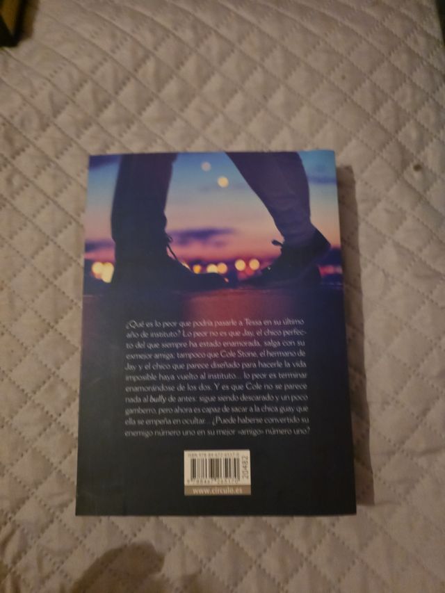 Bad boy's girl.Te odiaré hasta que te quiera