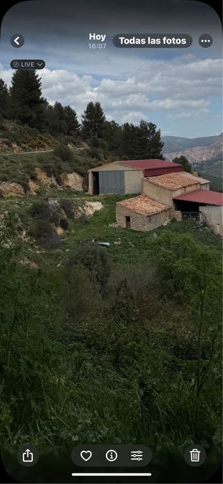 Naves para ganado con terreno