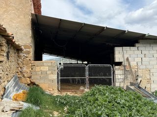 Naves para ganado con terreno