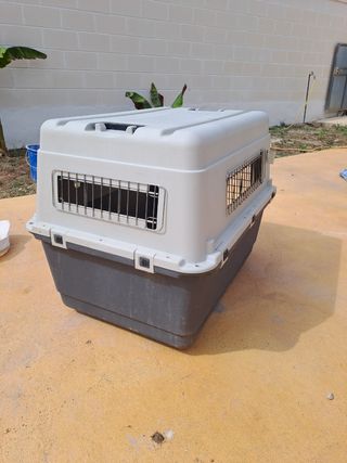 Jaula trasportin perro