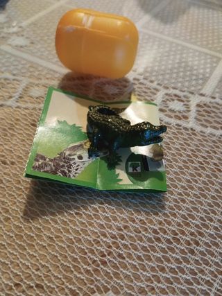 Kínder natoons cocodrilo